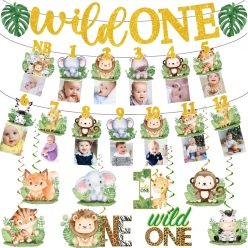 Wild One Deluxe Decorating Kit- 35pcs